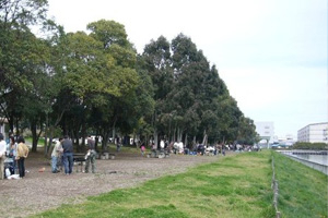 夢の島公園