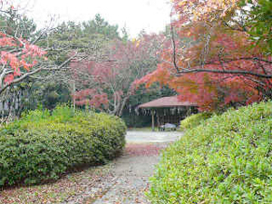 みなとが丘ふ頭公園バーベキュー場