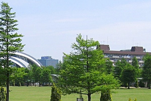 辰巳の森海浜公園バーベキュー広場