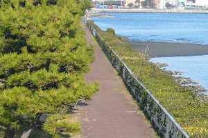 京浜島つばさ公園バーベキューエリア